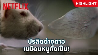 ระทึกจัด! หนีตายปรสิตเอเลี่ยนในห้องทดลอง มันออกมาเขมือบหนูทั้งเป็น! - Life | Netflix