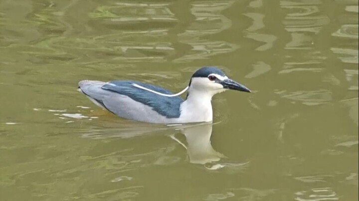 เริ่มโหมดแปลงร่างสุดยอด!