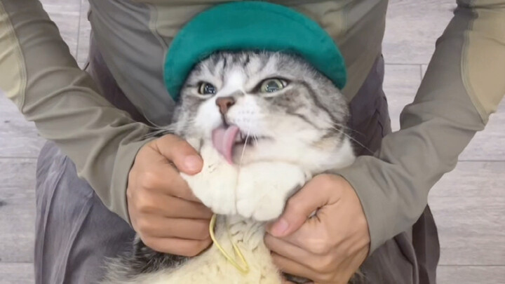 Someone said I’m like a hot-water bottle, and I laughed at them for failing Chinese.