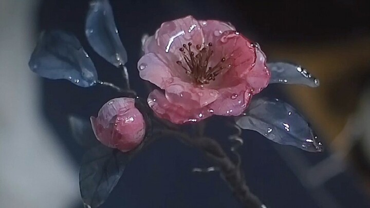 Heat-Shrink Film Hibiscus