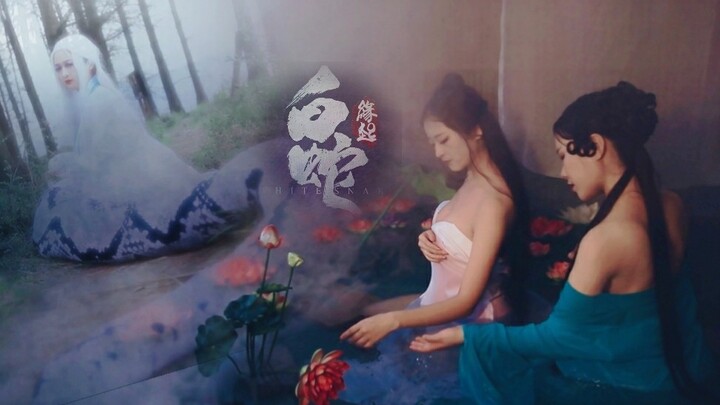 [Nanwei] White Snake Origin·Why ask, no need to block cheats and ask for three consecutive