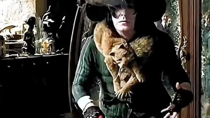 Snape: How did I end up here? What are you up to, you brat? What is this thing?