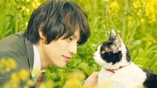 The Travelling Cat Chronicles- Japanese Movie (Eng Sub)