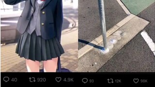 【日推】辛辛苦苦画插画的热度，不如自己4年以来观察根破杆子的热度高