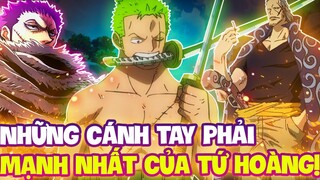 ZORO, KATAKURI, BENN BECKMAN?! | NHỮNG CÁNH TAY PHẢI BÁ ĐẠO NHẤT CỦA CÁC TỨ HOÀNG?!