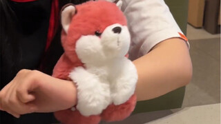 聪明的男人都把女朋友当小孩宠