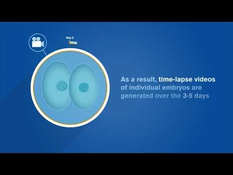 EmbryoScope® How Time-lapse Works