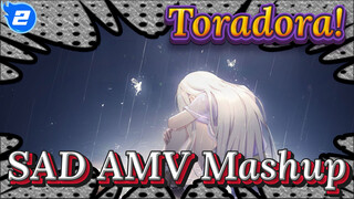 Toradora! Đừng cảm thấy lạc lõng khi em ở một mình_2