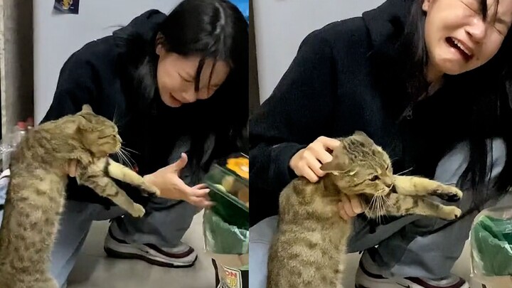 Kucing mencuri dan memakan mochi yang baru saja dibeli gadis itu seharga 15 yuan. Gadis itu pun mena