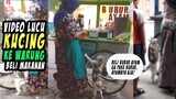 GEMES BANGET!! Gara-gara Kelaparan, Si Kucing Beli Bubur Ayam Sendiri - Video Kucing Lucu