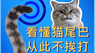 Kucing tidak bisa bicara, tetapi ekornya bisa!