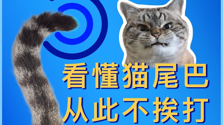 Kucing tidak bisa bicara, tetapi ekornya bisa!