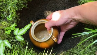 得空清理下，距离第一次发它已经4年了