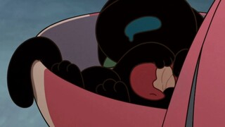 咪开始越来越信任人了！老父亲欣慰！