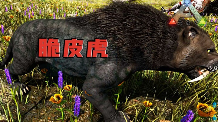 Ark Survival Evolved: Sabretooth Tiger! Huấn luyện nó là quyết định xui xẻo nhất đời tôi!