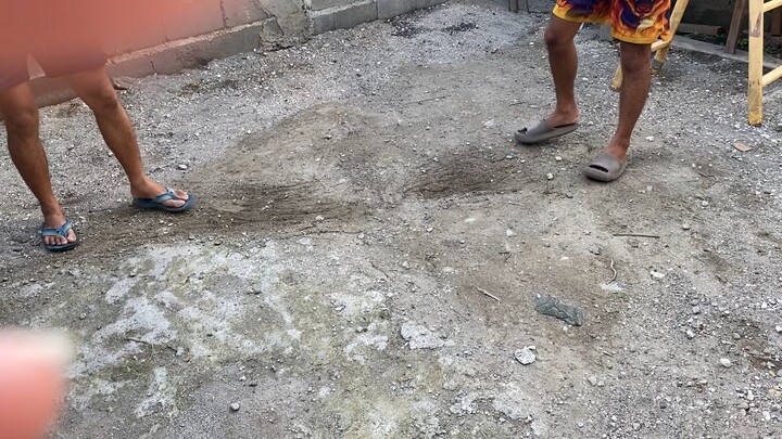 8 months old kanawayon vs. 1 year old yellow gold