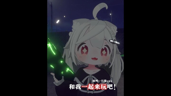 和我一起来玩吧！【就叫一只猫qwq】