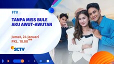 Tanpa Miss Bule, Aku Awut Awutan [TANPA IKLAN]