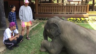 วันนี้พี่แจ๊สสุดหล่อมาเที่ยวหาน้ำเพชร