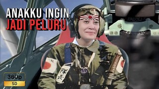 DIAM MEMANTAU BERGERAK MENABRAK PESAWAT MUSUH !