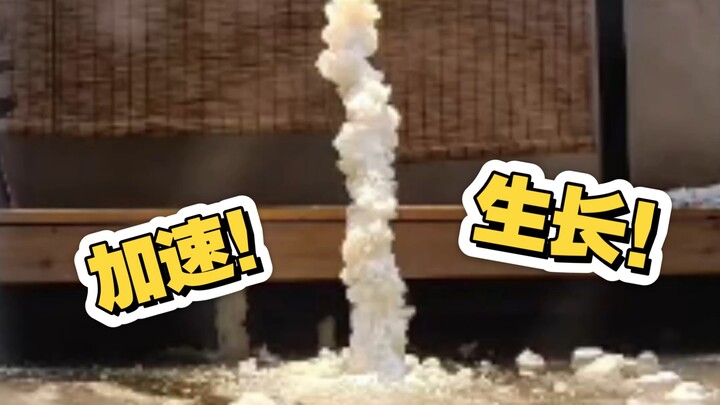 Merekam seluruh prosesnya!