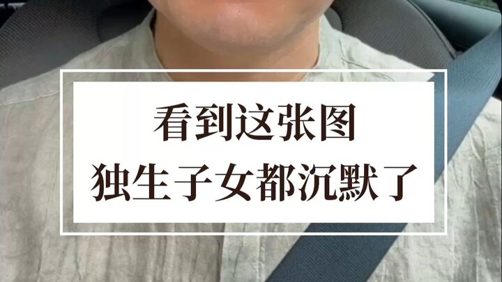 عندما يرى الأولاد الوحيدون هذه الصورة، يصمتون جميعًا.