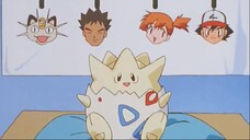 Pokemon japanese #0049