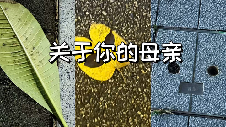 【Wuyu yang Menyerang】Tentang Ibumu (mengandung spoiler)