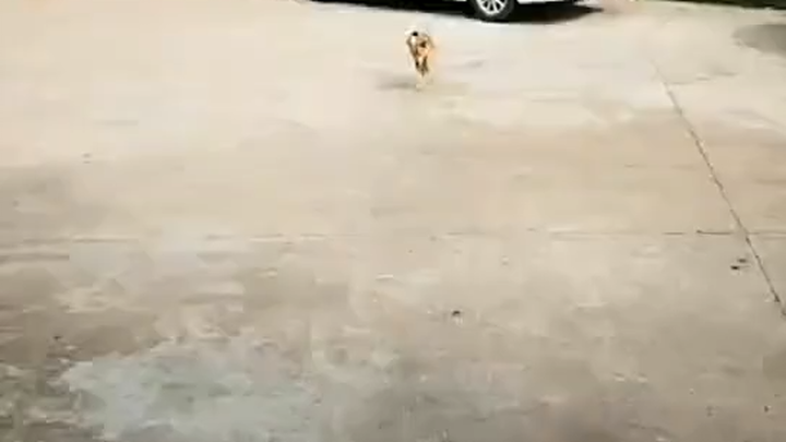 Đây mới là bước nhảy đỉnh cao!