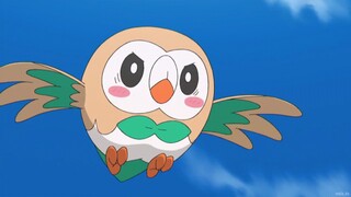 Pokemon Sun and Moon Episode 4 (Dub)