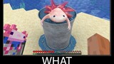 Minecraft รออะไร meme part 89 minecraft axolotl ที่สมจริง