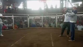 3/3wins