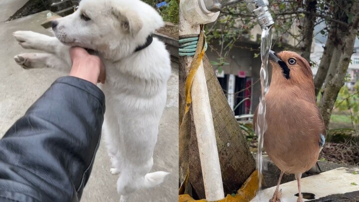 How could I tolerate you running away right under my nose?