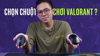 Chơi Valorant, chọn chuột như nào??? | Hướng dẫn mua chuột chơi game FPS