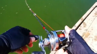 How to play lure like this to catch fish quickly