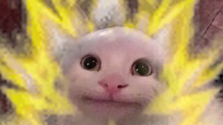 [beluga和他的小伙伴]要不您还是让我早点下课?