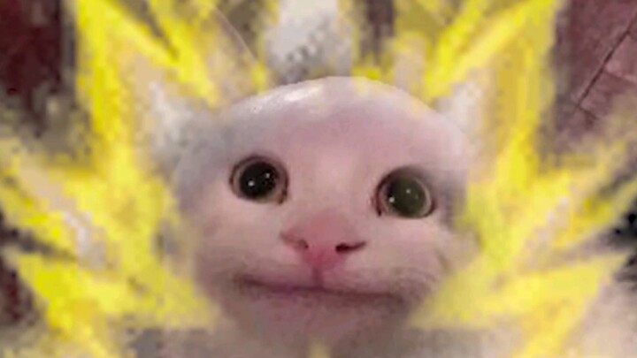 [Beluga and His Buddies] How about you just let me get out of class early?