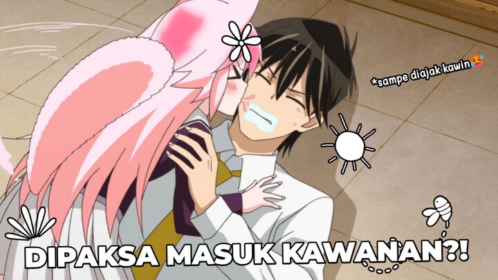 MASUK KE KAWANAN ROGER?! Review Murenase! Seton Gakuen~
