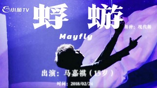 纵然渺小似蜉蝣，也无惧风雨黑暗｜马嘉祺《蜉蝣》✖️现代舞