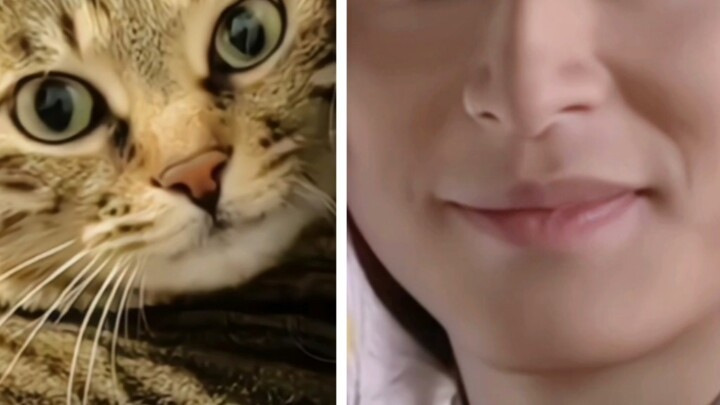 [Chen Guanlin | Kuang Lianhai] Why do you even sound so much like a little kitty～