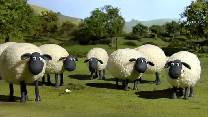 Những Chú Cừu Thông Minh 1 #14