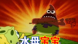 《水 母 宝 宝》