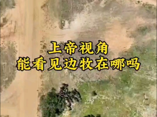 #สุนัขพันธุ์บอร์เดอร์คอลลี่ #สุนัขเลี้ยงแกะต้อนแกะ #กิจวัตรประจำวันของสุนัข