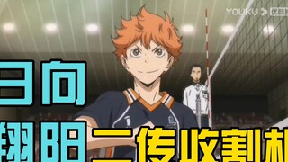 日向翔阳：二传收割机