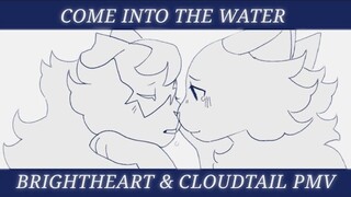 Come into the water | Brightheart and Cloudtail | PMV