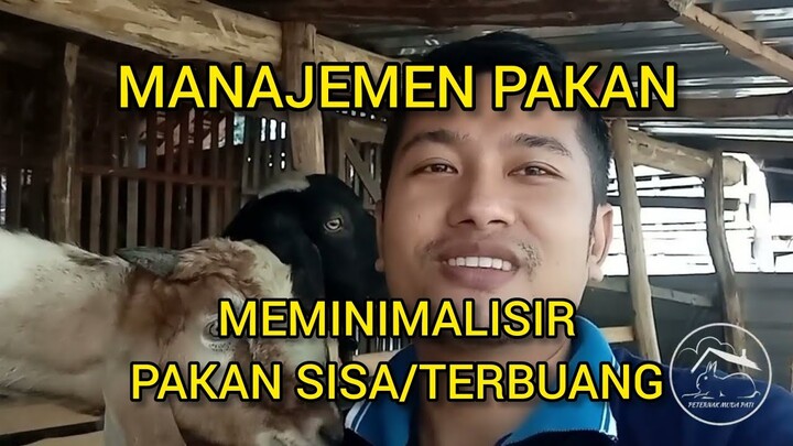 #197 Pakan Hemat‼️Minim sisa apalagi terbuang‼️