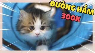 THỬ THÁCH VƯỢT ĐƯỜNG HẦM 300K | The Happy Pets #87