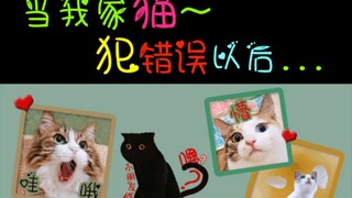 Three types of kittens after they've misbehaved! I even have to apologize to the last one—tricky one