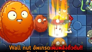 Wall nut อัพเกรดเพิ่มพลังถั่วต้ม Plant vs Zombie 2