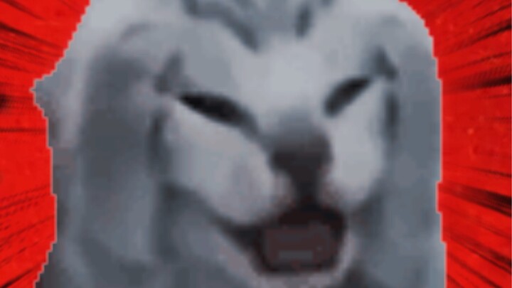 Top 10 bộ sticker hình mèo được yêu thích nhất năm 2023 đã lộ diện!